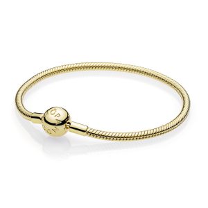 Snake chain 14k Gold Plated bracelet