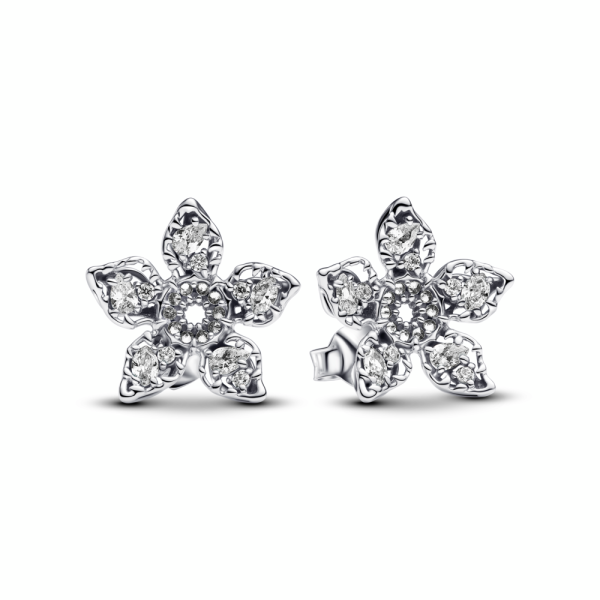 WEB_293573C01_RGB.png WEB_293573C01_RGB.png